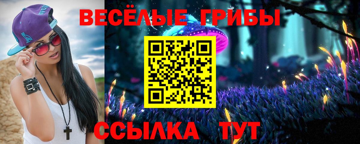 Галлюциногенные грибы Psilocybine cubensis Нижневартовск